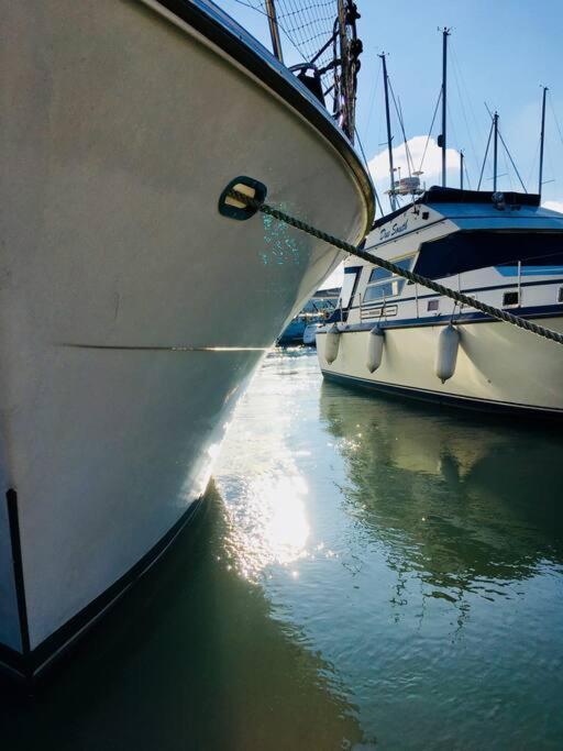 Super Yacht Temptation With A Hot Tub Jacuzzi On The South Coast Uk * Portsmouth