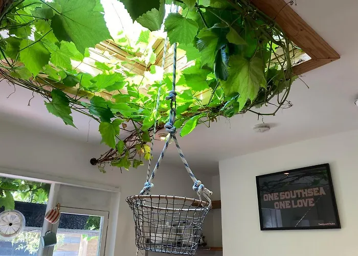 The Vineyard