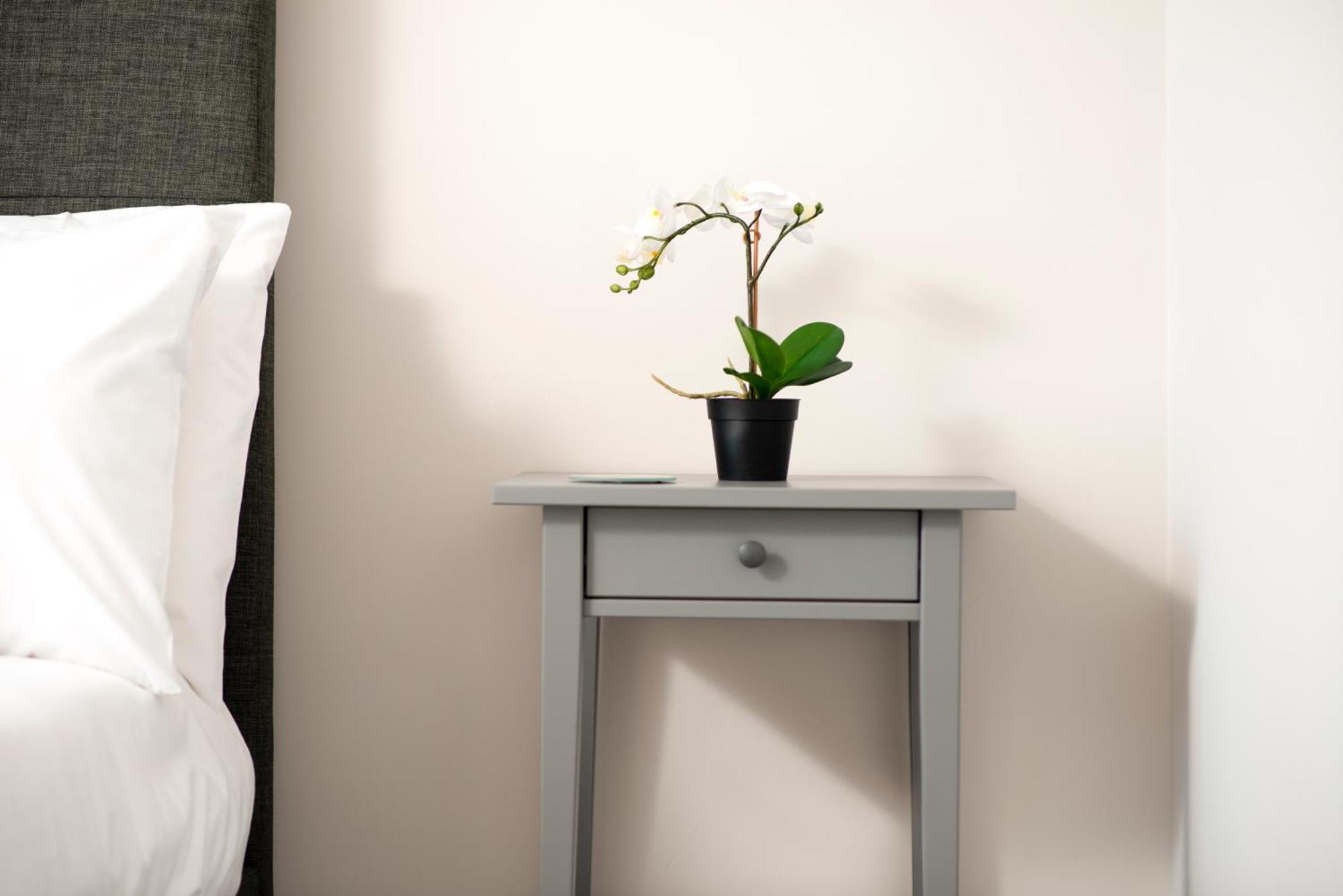 Apartment Morley - Modern 3 Bedroom, 2 Bathroom House With Garden In Southsea, *